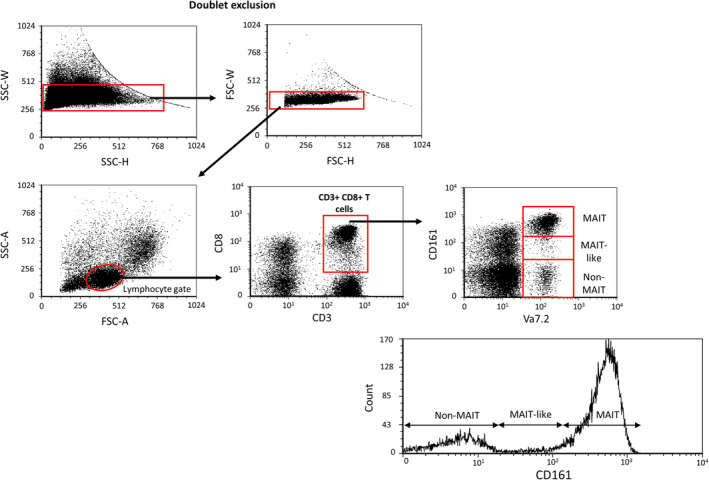 Immune Checkpoint Receptor Expression Profiles of MAIT Cells in Moderate and Severe COVID-19.