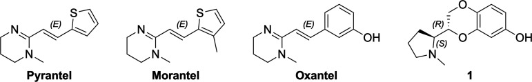 Structural Determinants of Oxantel Analogs Reveal Modulatory Selectivity of α3β2 and α4β2 Neuronal Nicotinic Acetylcholine Receptors.