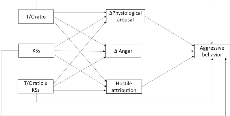 Moderating and mediating mechanisms of the association between endogenous testosterone and aggression in youth: A study protocol.