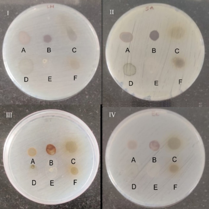 Assessment of antibacterial, nematicidal and herbicidal activities of Cautleya spicata (Sm.) Baker extracts, with chemical profiling using GC-MS.