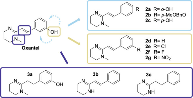 Structural Determinants of Oxantel Analogs Reveal Modulatory Selectivity of α3β2 and α4β2 Neuronal Nicotinic Acetylcholine Receptors.