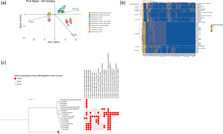 Abstract Image