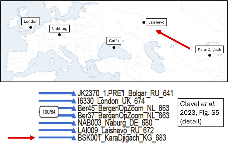 Plague history, Mongol history, and the processes of focalisation leading up to the Black Death: a response to Brack <i>et al.</i>
