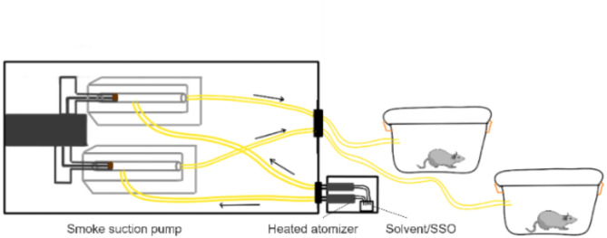 Nebulized seabuckthorn seed oil inhalation attenuates Alzheimer's disease progression in APP/PS1 mice.