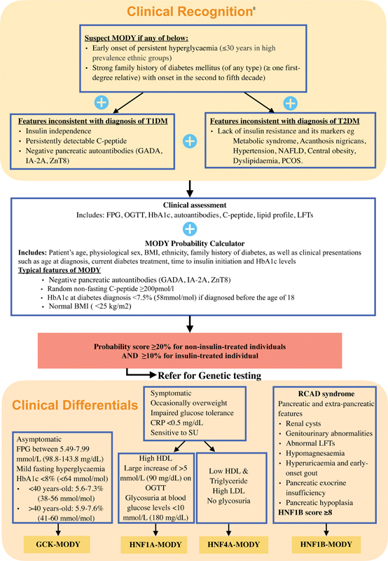 When to Consider a Diagnosis of Maturity-Onset Diabetes of the Young: Precise Diagnosis Leads to Better Management and Quality of Life for the Patients.