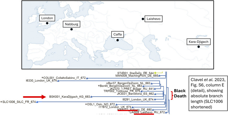 Plague history, Mongol history, and the processes of focalisation leading up to the Black Death: a response to Brack <i>et al.</i>
