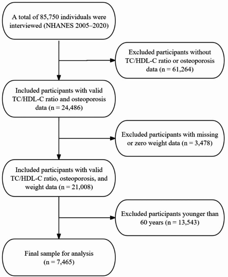 U-shaped association between TC/HDL-C ratio and osteoporosis risk in older adults.