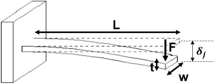 Abstract Image