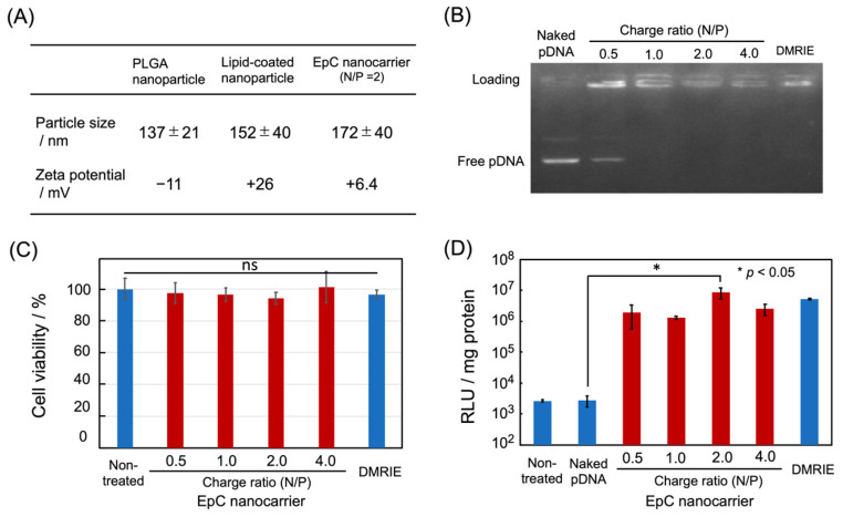 Novel Epigenetics Control (EpC) Nanocarrier for Cancer Therapy Through Dual-Targeting Approach to DNA Methyltransferase and Ten-Eleven Translocation Enzymes.