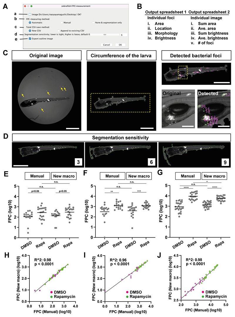 An Image Processing Tool for Automated Quantification of Bacterial Burdens in Zebrafish Larvae.