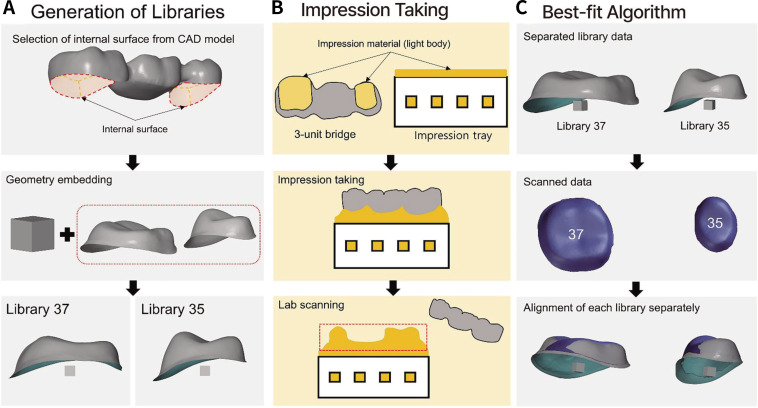 Deformation analysis of 3D-printed three-unit fixed partial dentures according to various cleaning strategies after DLP 3D printing: a geometric library matching approach.