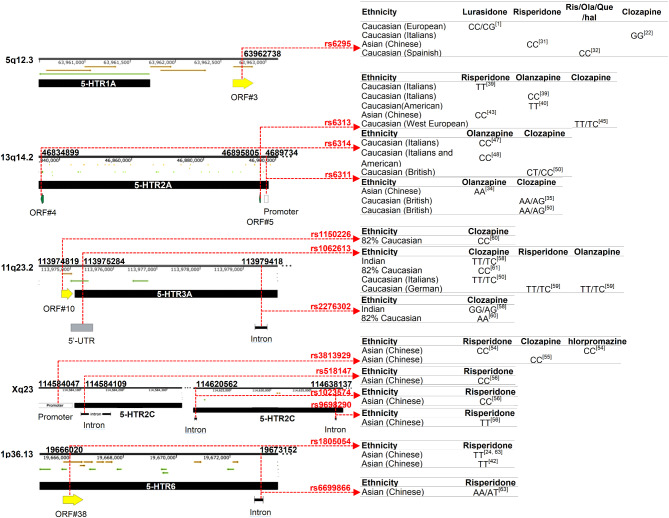 Efficacy of atypical antipsychotics in schizophrenia patients: effects of 5-HTR SNPs.