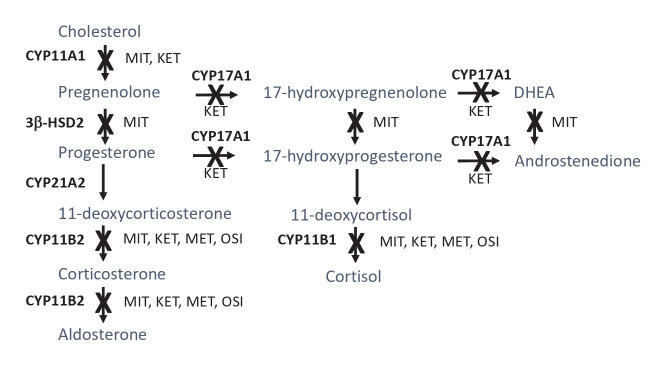 Medical Treatment of Cushing's Syndrome.