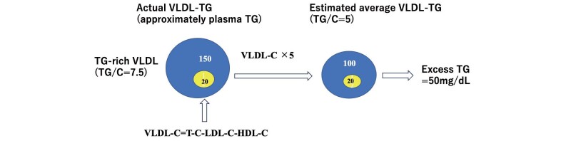 Excess Triglycerides in Very Low-Density Lipoprotein (VLDL) Estimated from VLDL-Cholesterol could be a Useful Biomarker of Metabolic Dysfunction Associated Steatotic Liver Disease in Patients with Type 2 Diabetes.