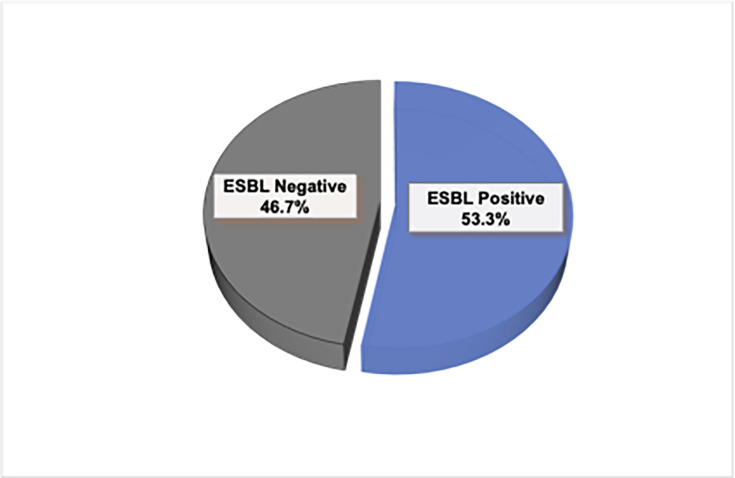 Tossing the coin of extended-spectrum β-lactamase: prevalence of extended-spectrum β-lactamase-producing Klebsiella pneumoniae isolated from patients with sepsis.