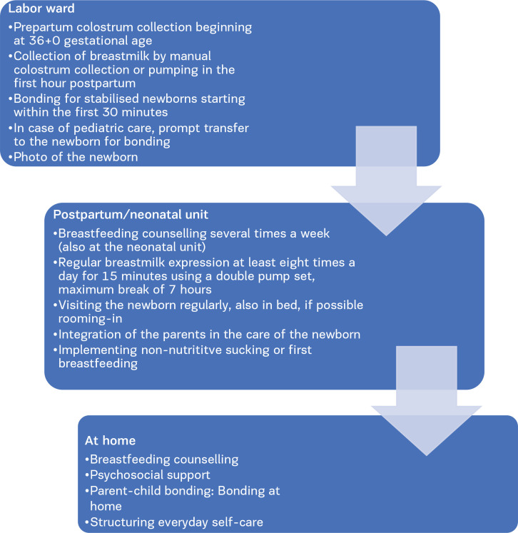 Optimizing breastfeeding for hospitalized newborns: A narrative review of midwifery-led interventions.
