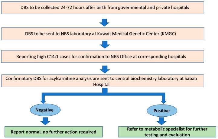 Insights from the Newborn Screening Program for Very Long-Chain Acyl-CoA Dehydrogenase (VLCAD) Deficiency in Kuwait.