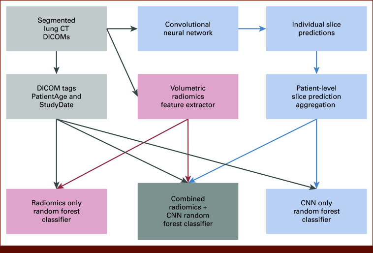 Radiomics and Deep Learning Prediction of Immunotherapy-Induced Pneumonitis From Computed Tomography.