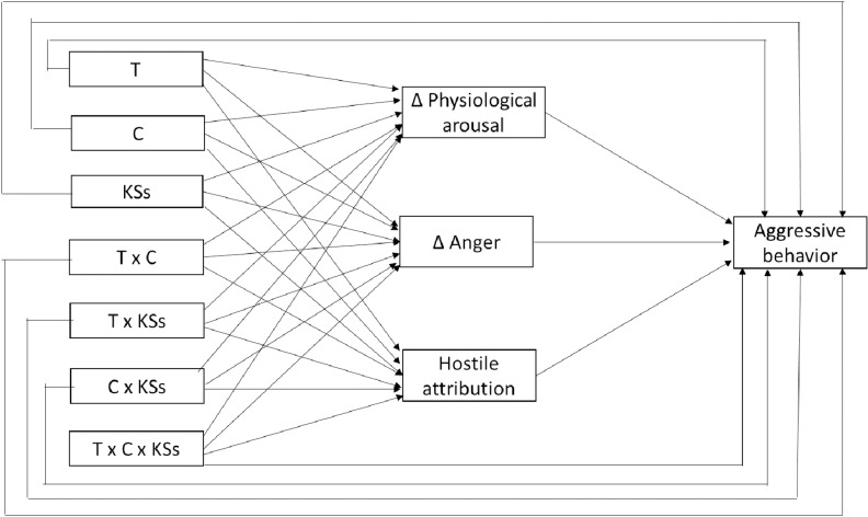 Moderating and mediating mechanisms of the association between endogenous testosterone and aggression in youth: A study protocol.