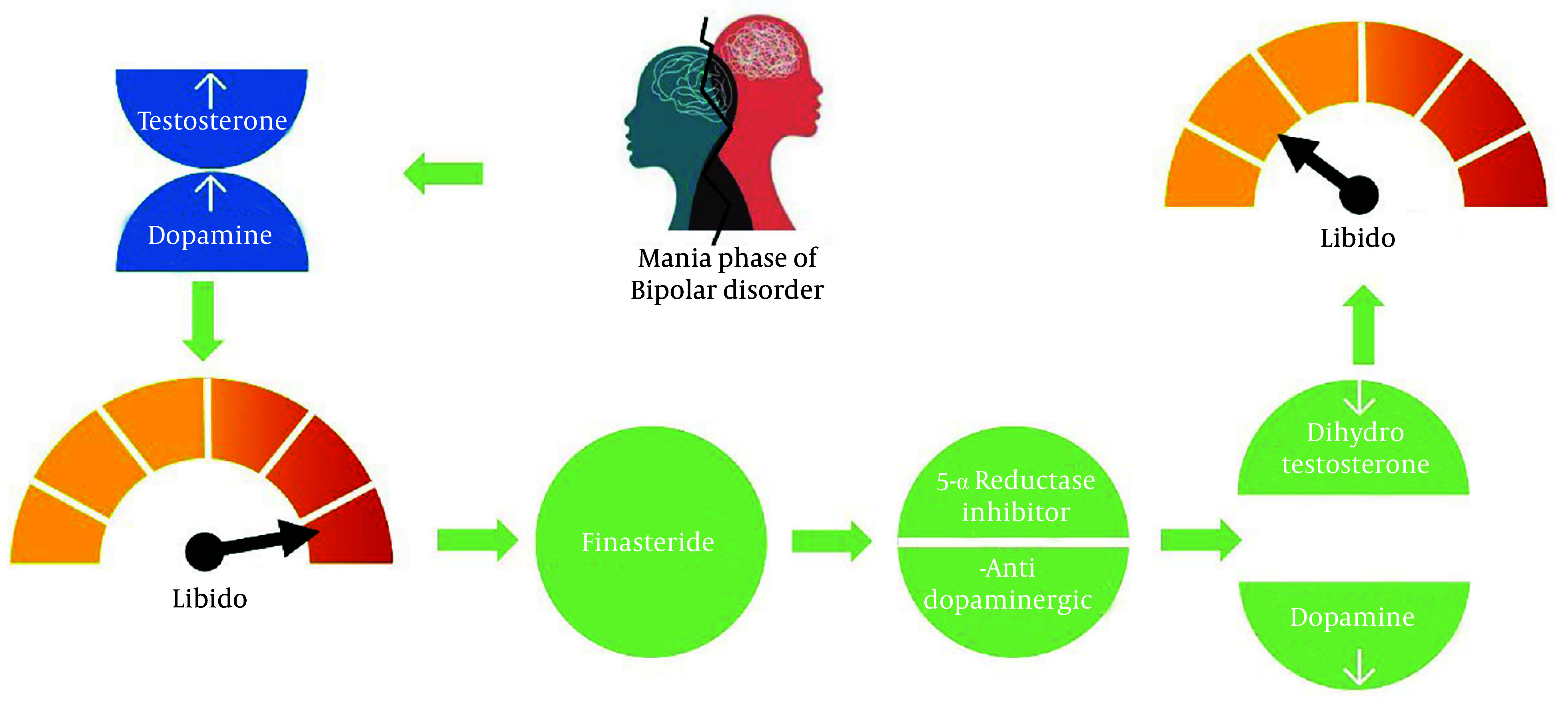 5-Alpha Reductase Inhibitors on Hypersexuality During the Manic Phase of Bipolar and Psychotic Patients; New Insight to a Well-Known Medicines.