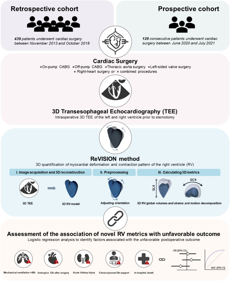 Impact of the right ventricular mechanical pattern assessed by three-dimensional echocardiography on adverse outcomes following cardiac surgery.