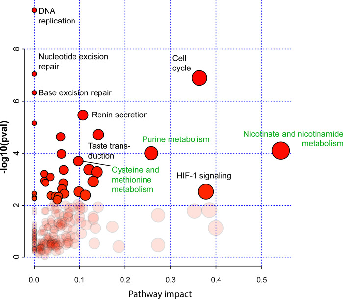 Metabolic pathways of Alternative Lengthening of Telomeres in pan-carcinoma.
