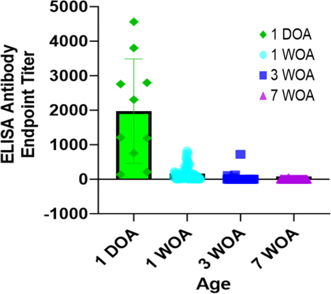 Age-based host response to Turkey arthritis reovirus in commercial Turkeys in the presence of maternally derived antibodies.