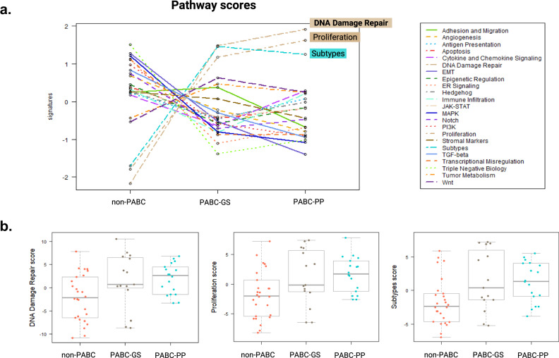 Molecular characterization of pregnancy-associated breast cancer and insights on timing from GEICAM-EMBARCAM study.
