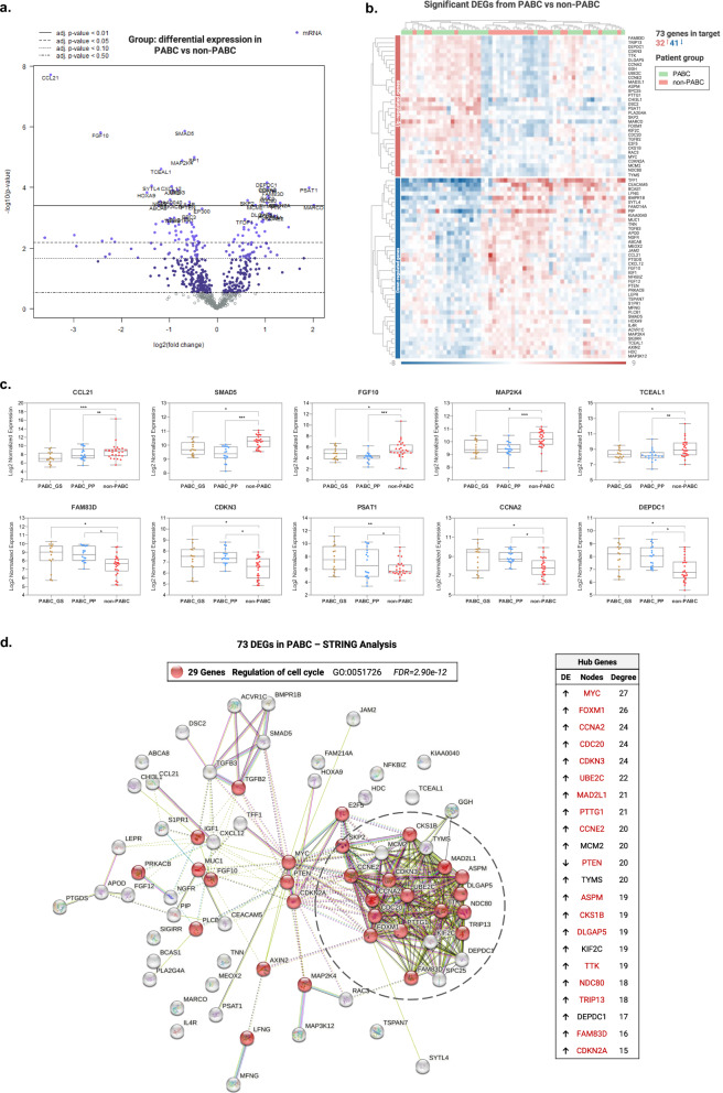 Molecular characterization of pregnancy-associated breast cancer and insights on timing from GEICAM-EMBARCAM study.