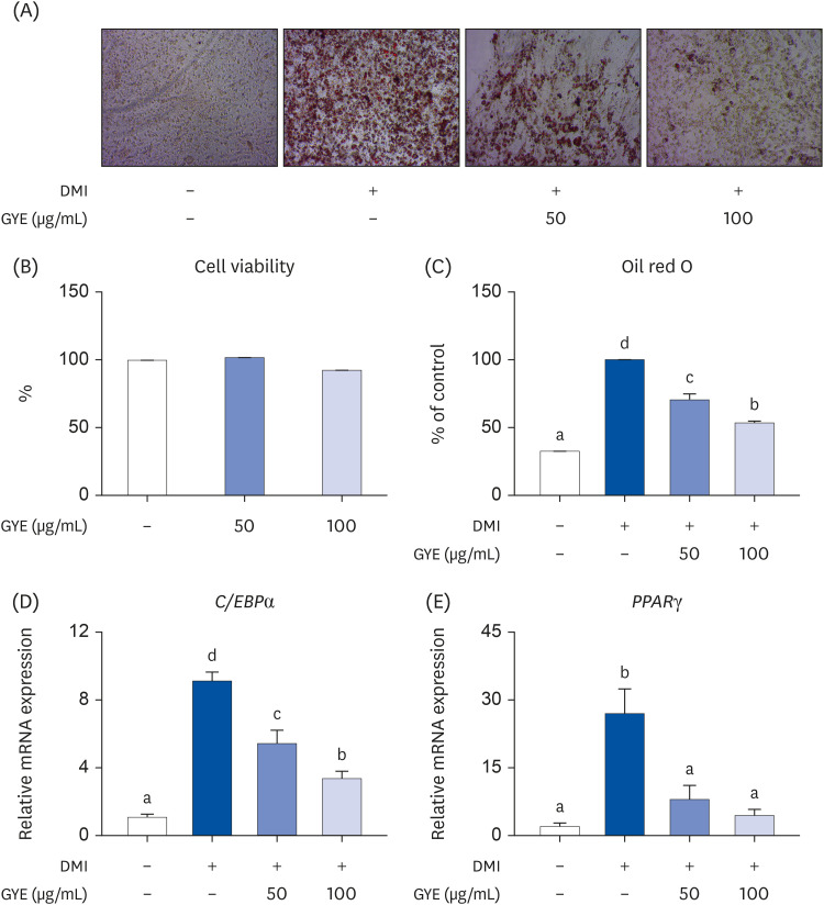 Anti-obesity effects of ethanol extract of green <i>Citrus junos</i> peel enriched in naringin and hesperidin <i>in vitro</i> and <i>in vivo</i>.