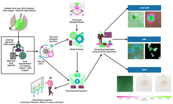 A feature explainability-based deep learning technique for diabetic foot ulcer identification.