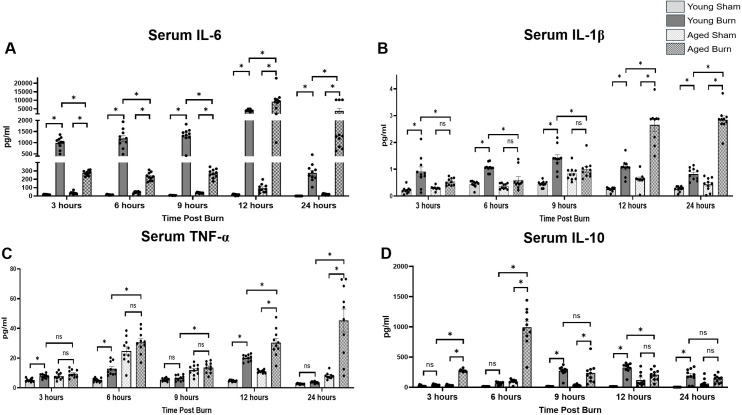 Delayed hepatic response and impaired cytokine dynamics in aged mice following burn injury: Implications for elderly patient care.