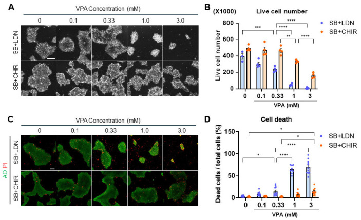 The Differential Developmental Neurotoxicity of Valproic Acid on Anterior and Posterior Neural Induction of Human Pluripotent Stem Cells.