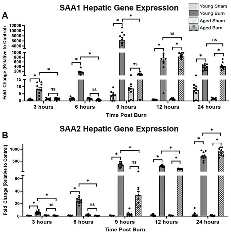 Delayed hepatic response and impaired cytokine dynamics in aged mice following burn injury: Implications for elderly patient care.