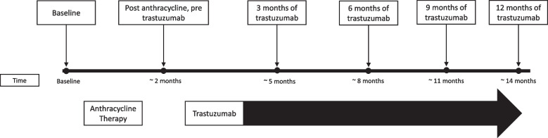 Macrotroponin interference and association with cardiotoxicity in patients receiving cardiotoxic breast cancer therapy: a pilot study.