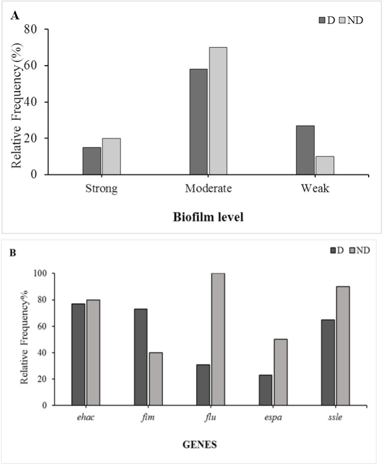 Antimicrobial susceptibility, biofilm formation, and virulence genes among atypical enteropathogenic <i>Escherichia coli</i> stool isolates in Tehran, Iran.