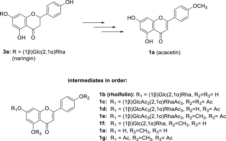 Rhoifolin: A promising flavonoid with potent cytotoxic and anticancer properties: molecular mechanisms and therapeutic potential.