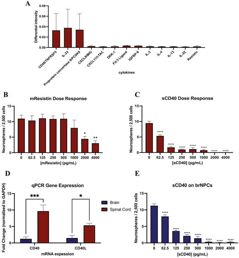 Microglia in the spinal cord stem cell niche regulate neural precursor cell proliferation via soluble CD40 in response to myelin basic protein.