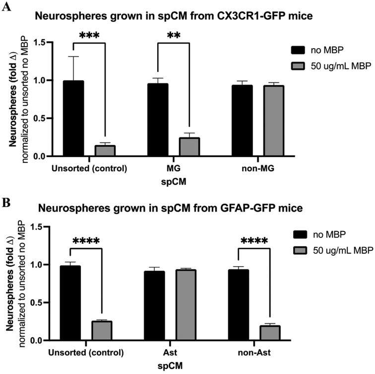 Microglia in the spinal cord stem cell niche regulate neural precursor cell proliferation via soluble CD40 in response to myelin basic protein.