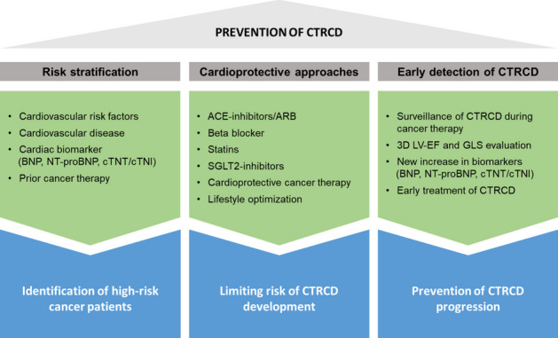 Prevention of cancer-therapy related cardiac dysfunction.