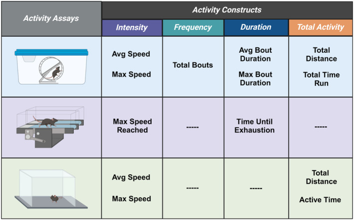 The influence of sex on activity in voluntary wheel running, forced treadmill running, and open field testing in mice.