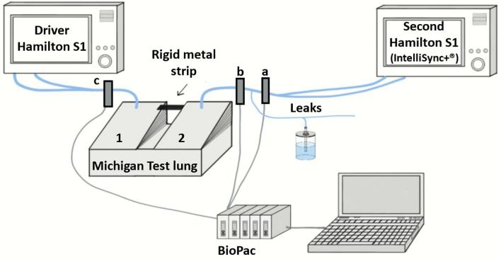 Patient-ventilator synchrony under non-invasive ventilation is improved by an automated real time waveform analysis algorithm: a bench study.