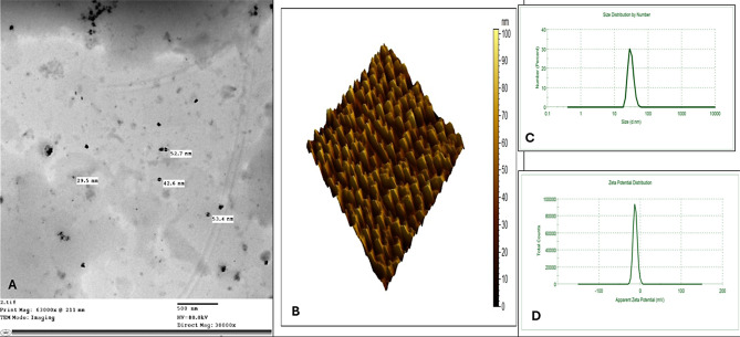 Dietary supplementation of Astragalus polysaccharide or its nanoparticles enhances testicular hemodynamics, echotexture, scrotal circumference, concentration of testosterone, estradiol, nitric oxide, and total antioxidant capacity, and semen quality in mature Ossimi rams.