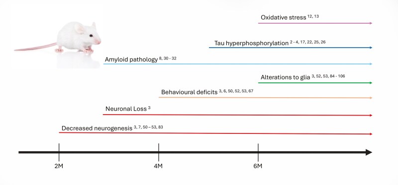 Senescence accelerated mouse-prone 8: a model of neuroinflammation and aging with features of sporadic Alzheimer's disease.