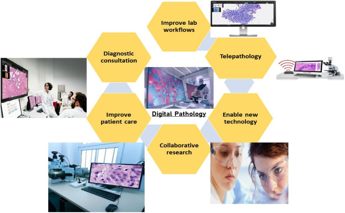 An update on applications of digital pathology: primary diagnosis; telepathology, education and research.