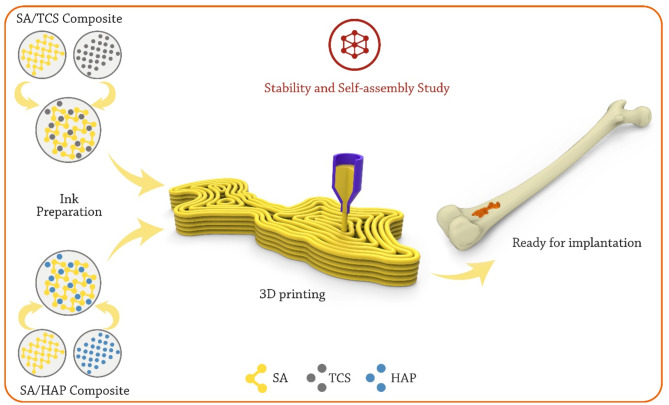 The stability and self-assembly of tri-calcium silicate and hydroxyapatite scaffolds in bone tissue engineering applications.