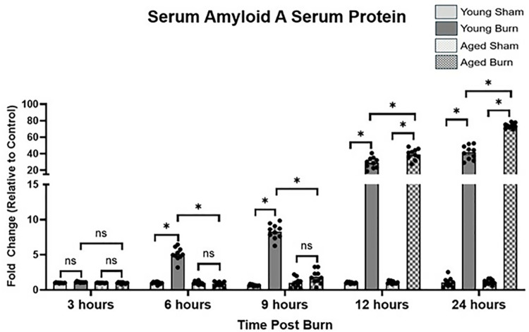 Delayed hepatic response and impaired cytokine dynamics in aged mice following burn injury: Implications for elderly patient care.