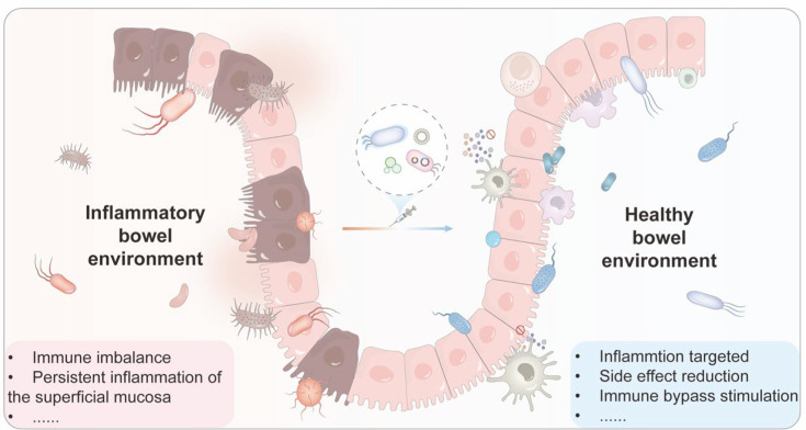 Engineered bacteria and bacterial derivatives as advanced therapeutics for inflammatory bowel disease.