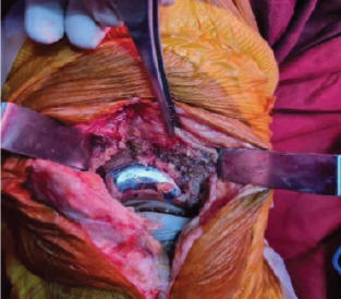 Abstract Image
