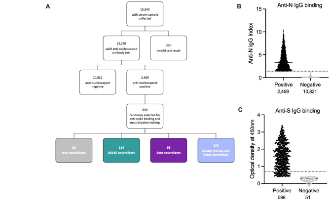 Population shift in antibody immunity following the emergence of a SARS-CoV-2 variant of concern.